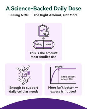 Label du complément NMN Inner Brightness
