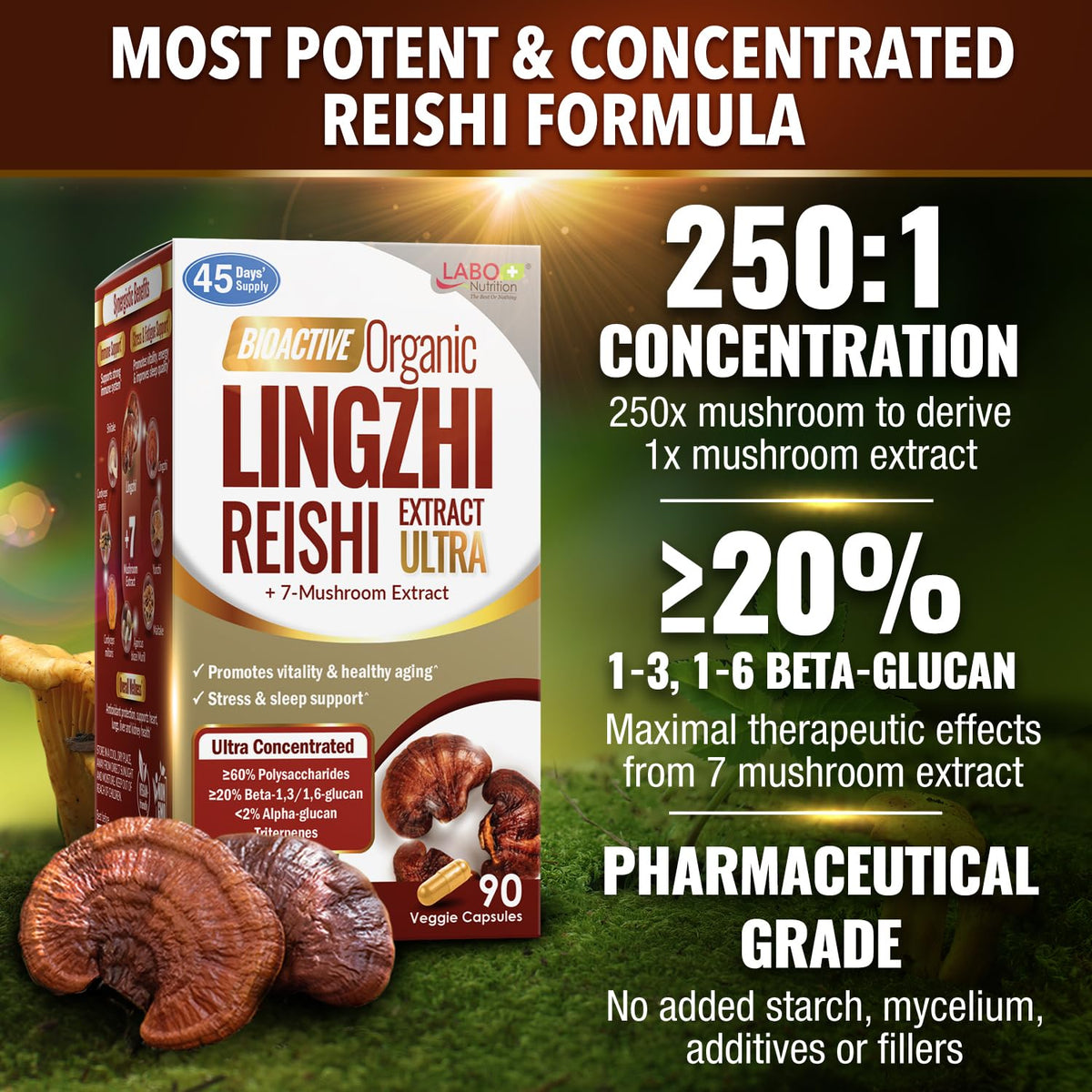 LABO Nutrition Champignon Ultra Reishi 109g étiquette détaillée