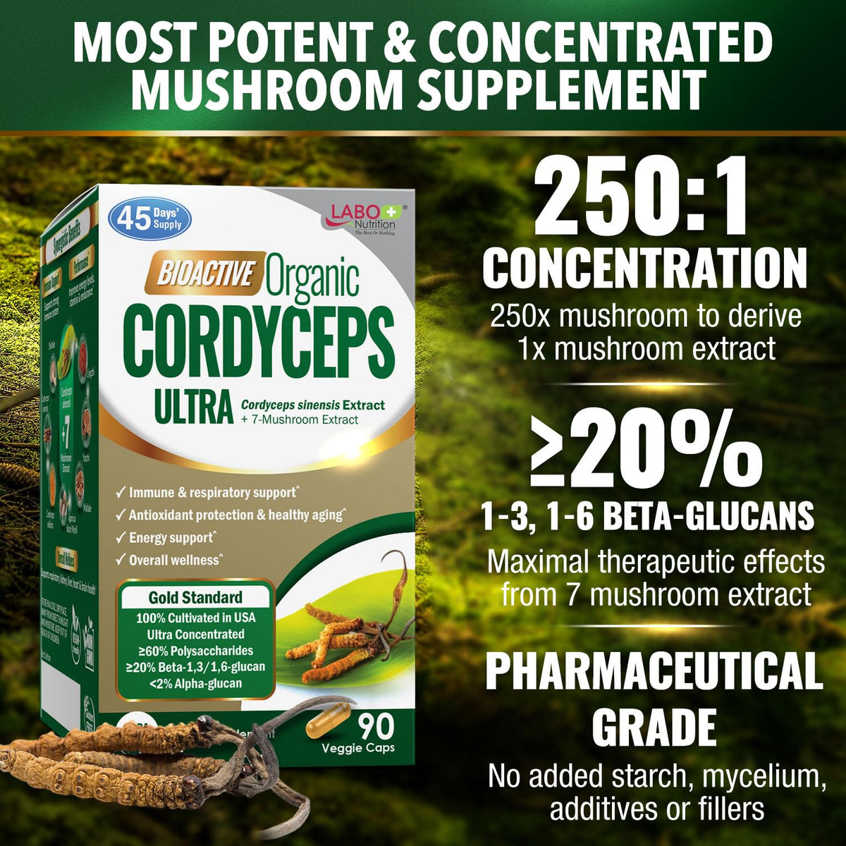 LABO Nutrition Cordyceps Bioactif 118g en mode de vie actif