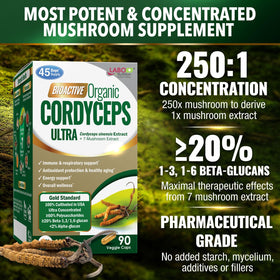 LABO Nutrition Cordyceps Bioactif 118g en mode de vie actif
