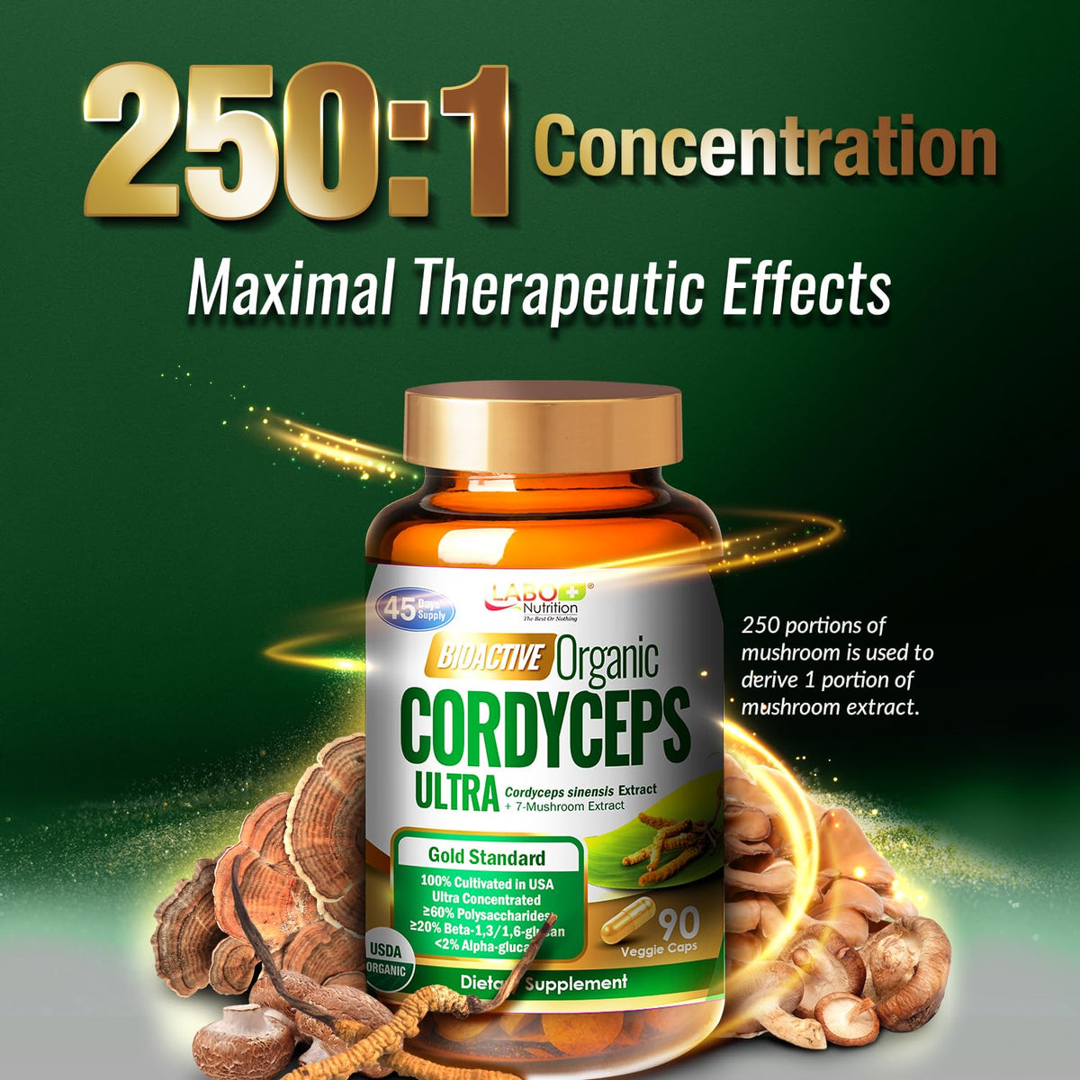 LABO Nutrition Cordyceps Bioactif 118g sur une table