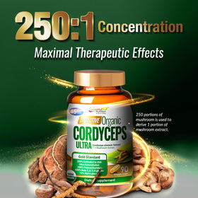 LABO Nutrition Cordyceps Bioactif 118g sur une table
