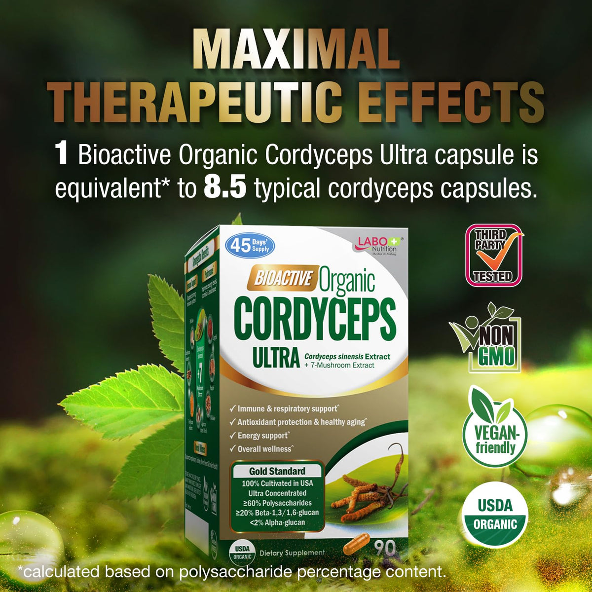LABO Nutrition Cordyceps Bioactif 118g vue arrière