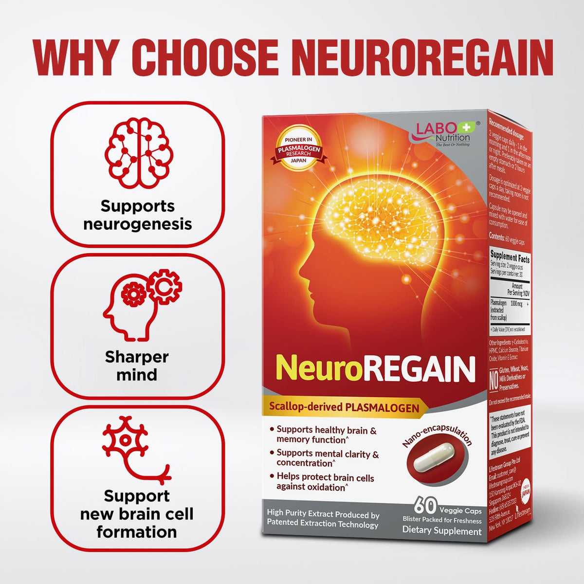 LABO Nutrition NeuroREGAIN Plasmalogen 41g arrière vue