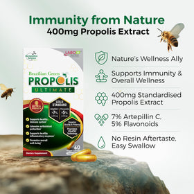 LABO Nutrition Propolis Vert Brésilien, capsules sur fond blanc