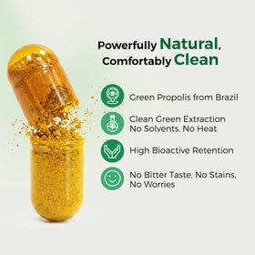 LABO Nutrition Propolis Vert Brésilien, détail des capsules
