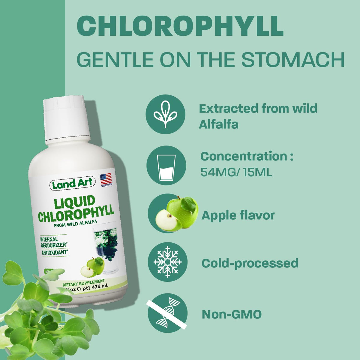 Land Art chlorophylle liquide 16 fl oz côté arrière