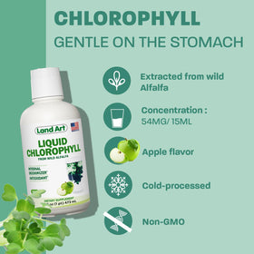 Land Art chlorophylle liquide 16 fl oz côté arrière