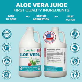 Land Art Jus d'Aloe Vera Grenade 64 fl oz avec accessoires