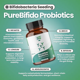 Layer Origin PureBifido Probiotiques poudre dans une cuillère
