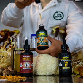 Life Cykel Pack Champignons avec une boisson pour la consommation