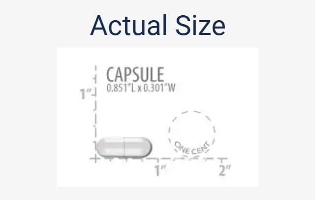 Life Extension 90 capsules végétariennes de enzymes et probiotiques avec étiquette visible