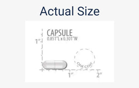 Life Extension 90 capsules végétariennes de enzymes et probiotiques avec étiquette visible