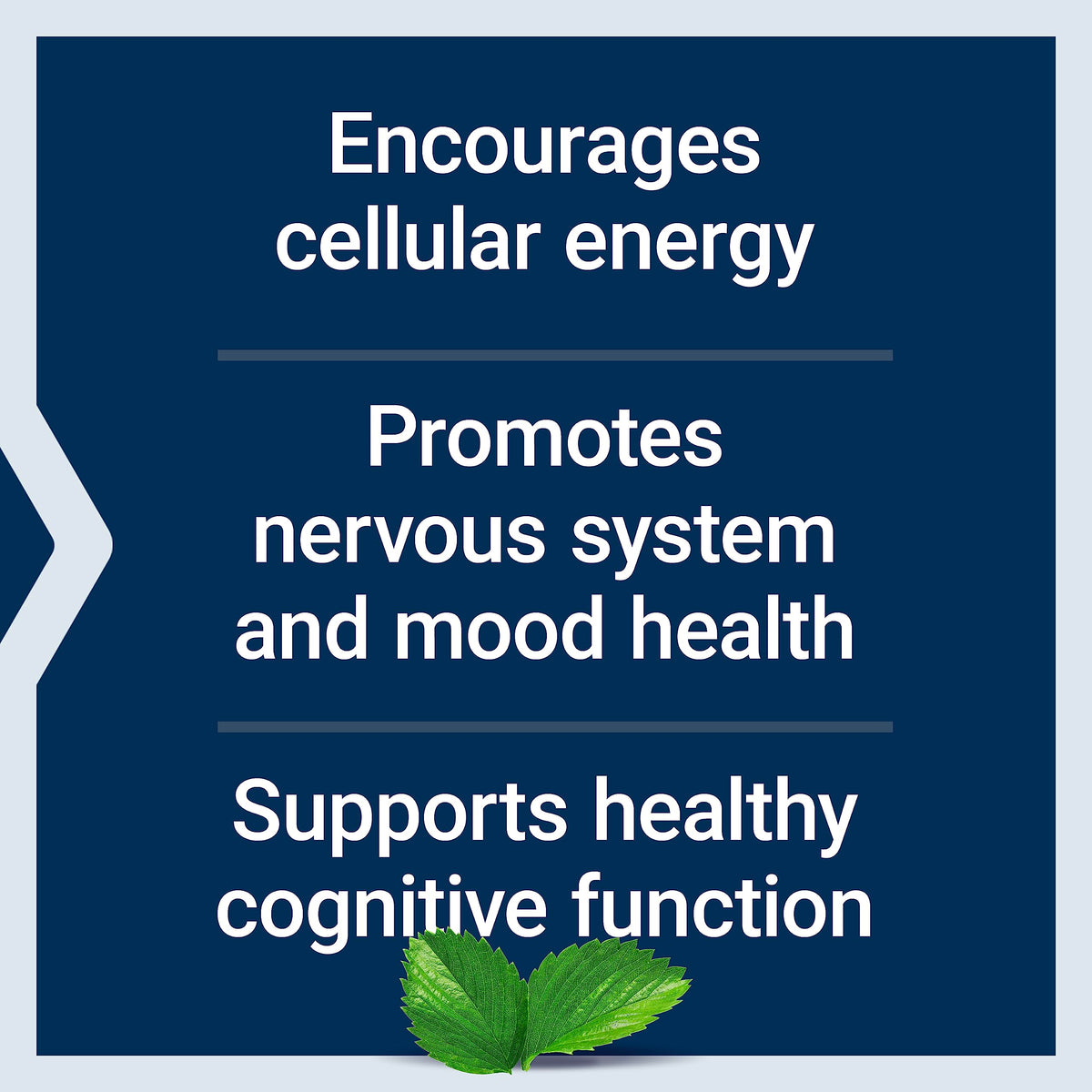 Life Extension Acetyl-L-Carnitine 100 capsules, étiquette avec ingrédients