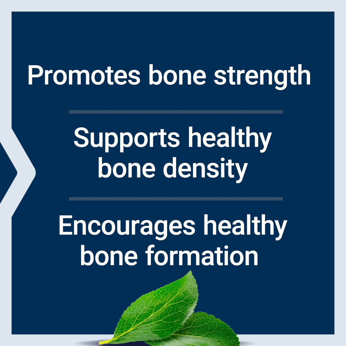 Life Extension Bone Restore 120 capsules avec étiquette