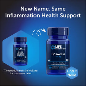 Life Extension Boswellia dans un environnement naturel