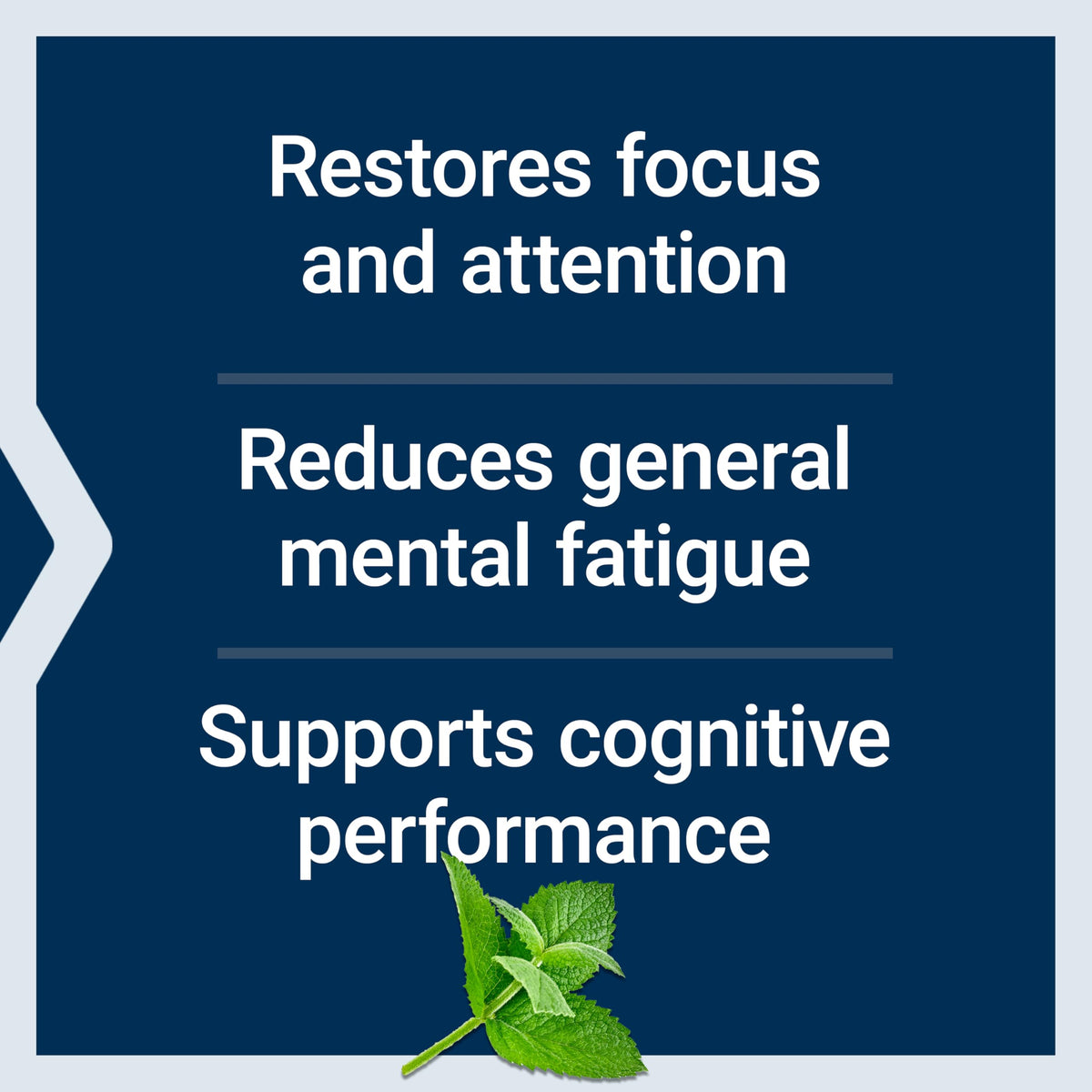 Life Extension Brain Fog Relief - gélules sur fond blanc
