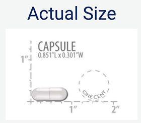 Life Extension Ceramides Rénovateurs de Peau 50 Capsules, prise de capsules