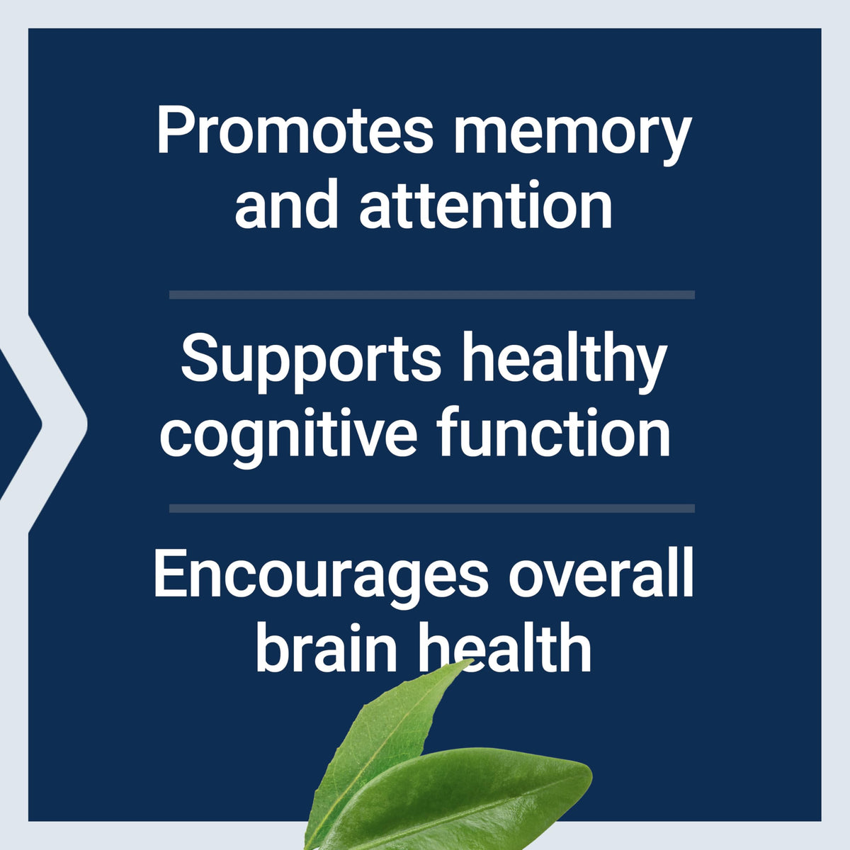 Life Extension Citicoline capsules close-up