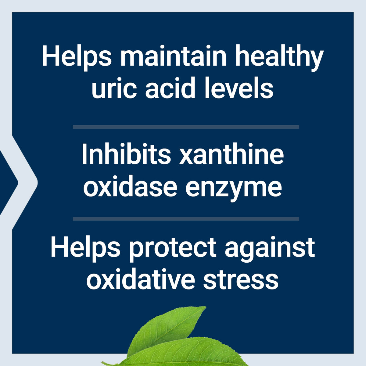 Life Extension Contrôle de l'Acide Urique 60 capsules avec ingrédients