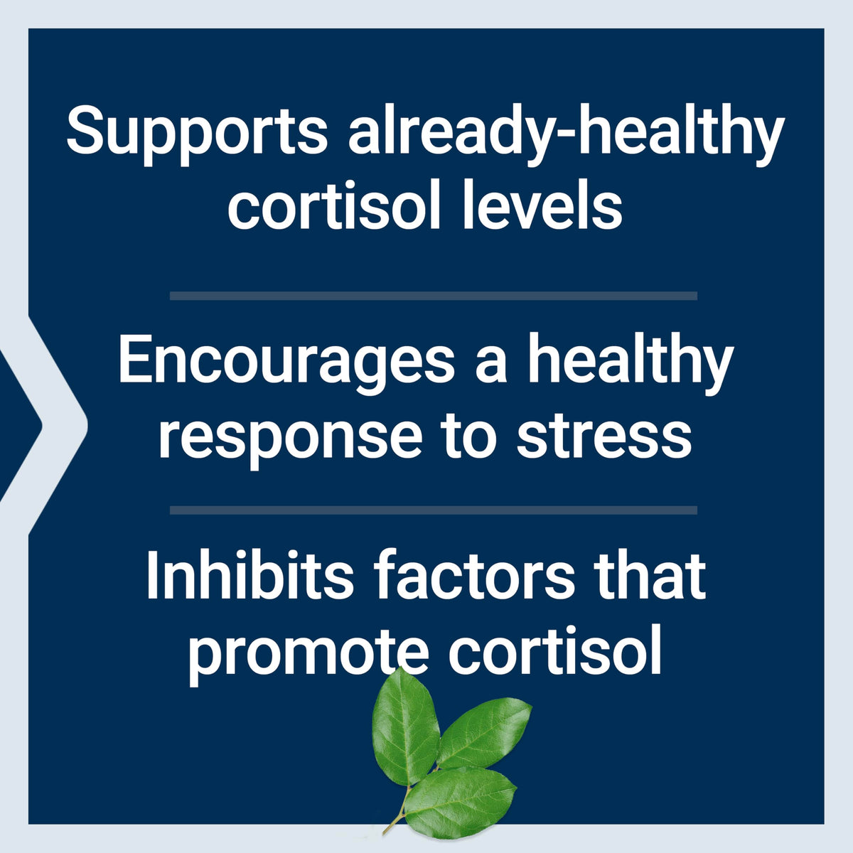 Life Extension Cortisol-Stress Balance 30 Capsules, présentation sur fond blanc