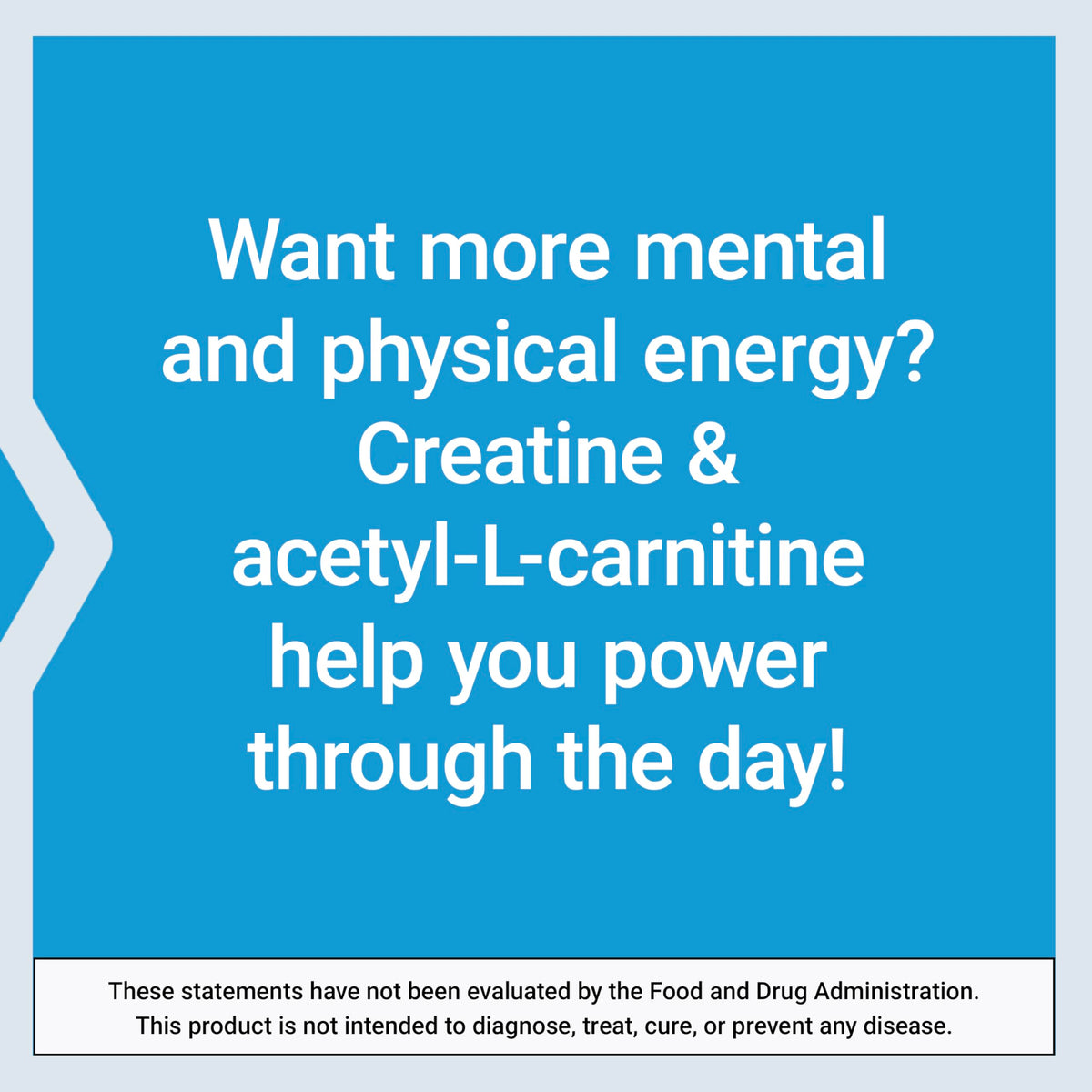 Life Extension Creatine Acetyl-L-Carnitine Énergie Plus 300g avec cuillère dosette