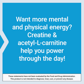 Life Extension Creatine Acetyl-L-Carnitine Énergie Plus 300g avec cuillère dosette