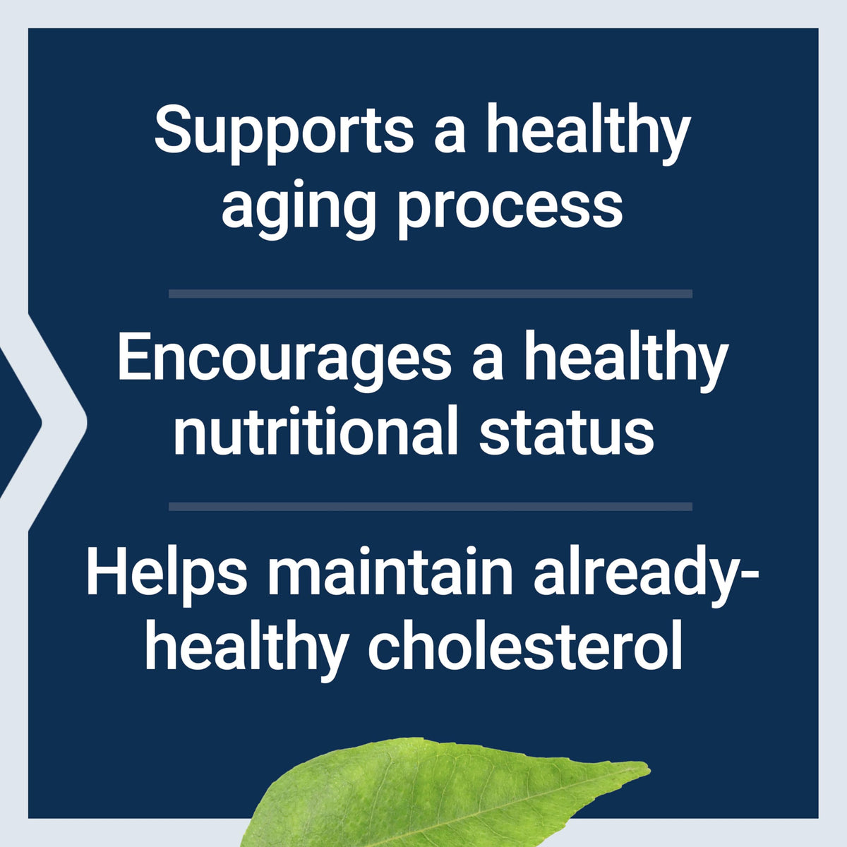 Life Extension FLORASSIST® Probiotic capsules close-up