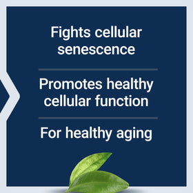 Life Extension GEROPROTECT Ageless Cell 30 gélules avec gélules visibles