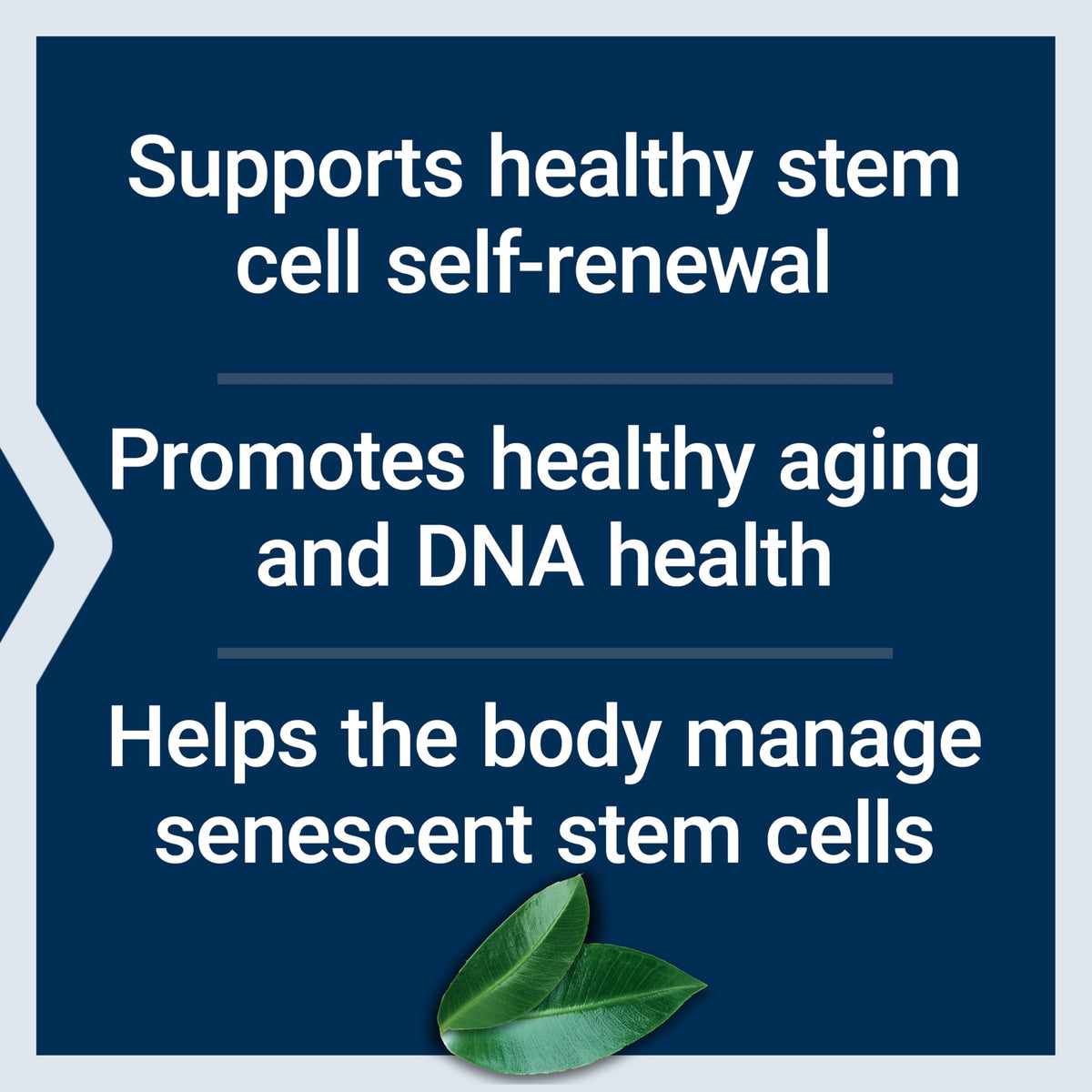 Life Extension GEROPROTECT® Stem Cell étiquette des ingrédients