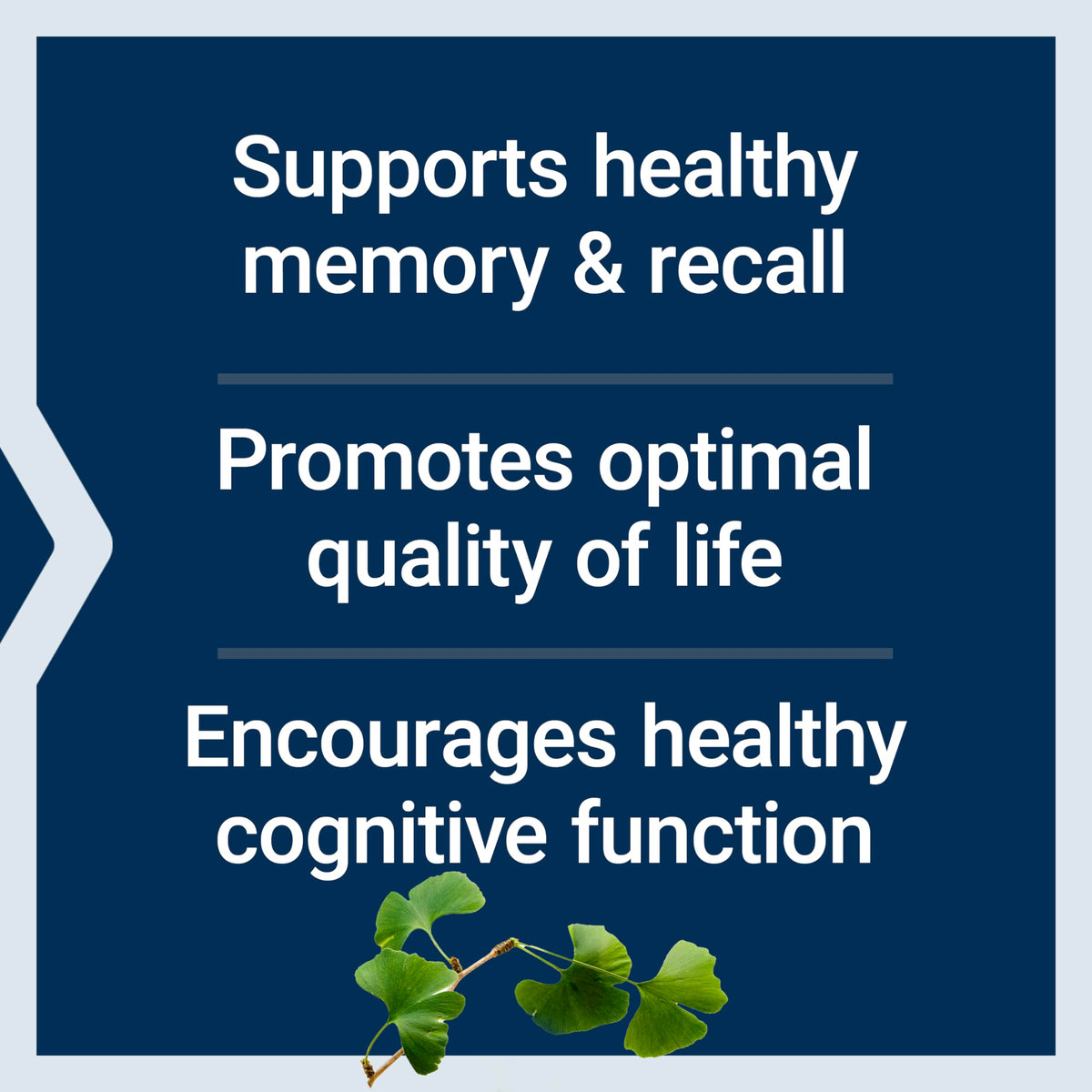 Life Extension Ginkgo Biloba Extrait Certifié 120 mg emballage