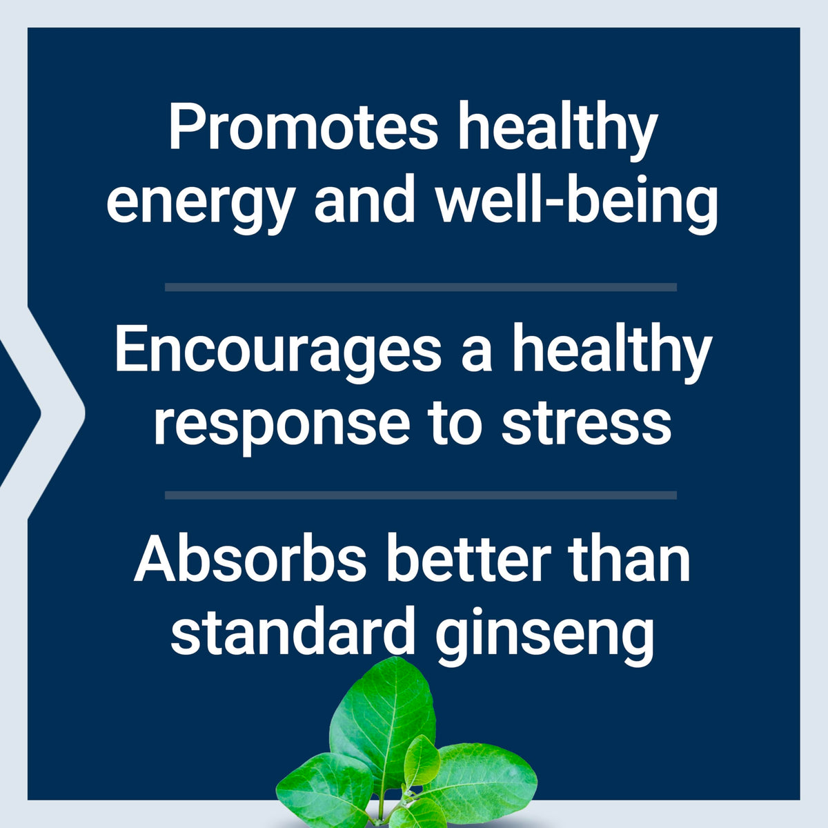 Life Extension Ginseng Energy Support capsules on a wooden table