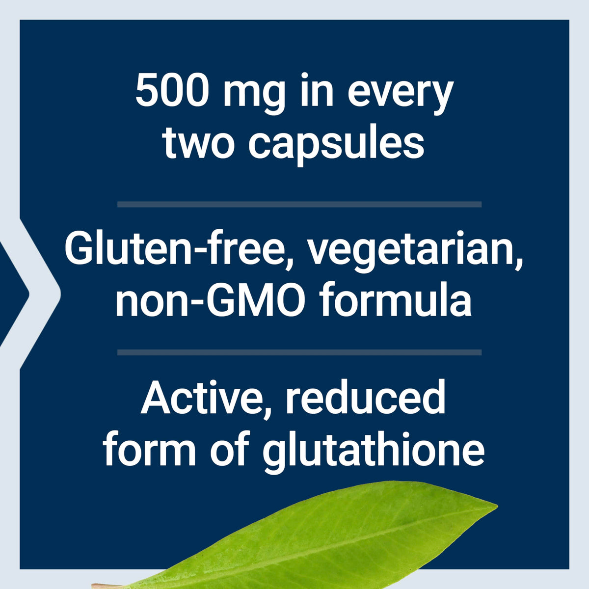 Life Extension Glutathione 500 mg Capsules - Détails des ingrédients