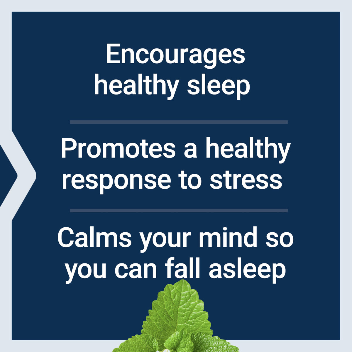 Life Extension Herbal Sleep PM ingredients list