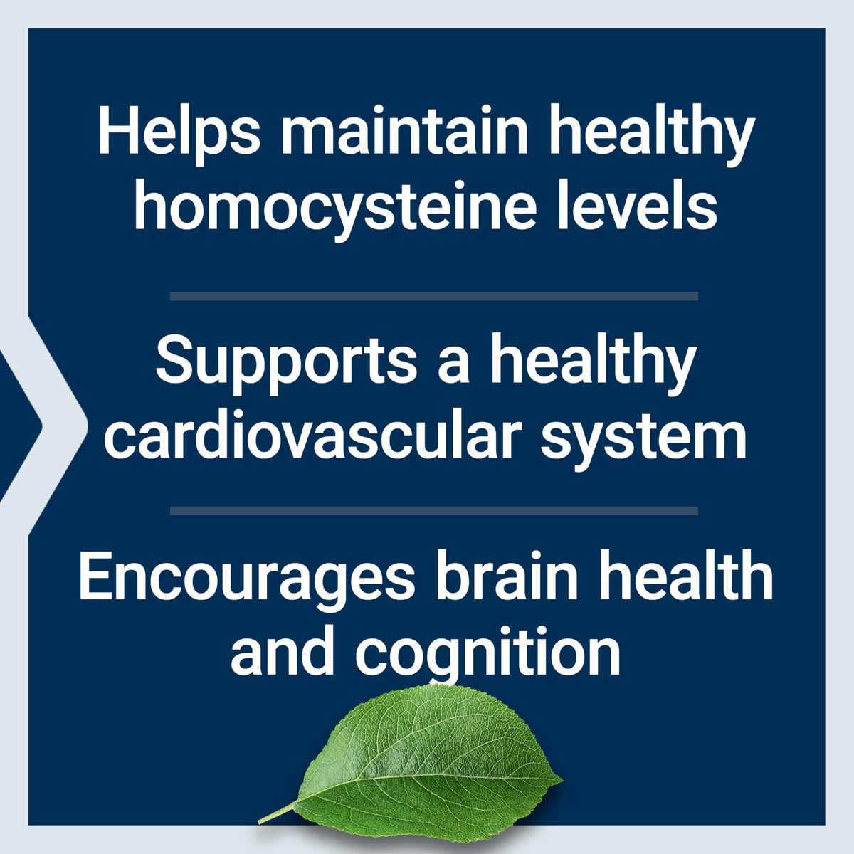 Life Extension Homocystéine Résist capsules sur un fond naturel