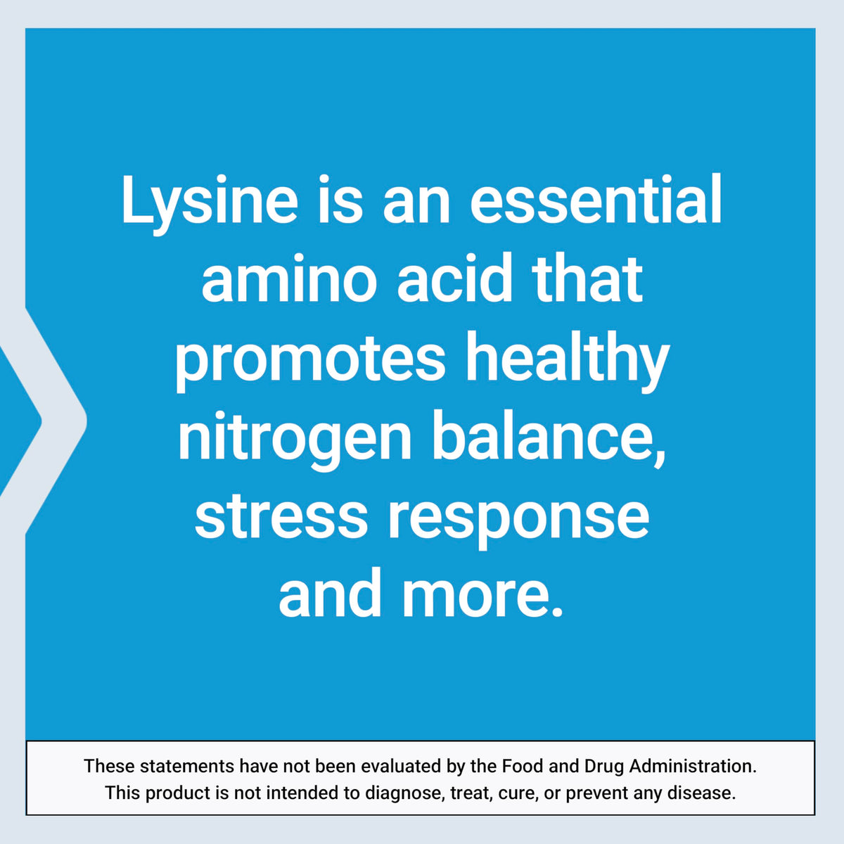 Life Extension L-Lysine, capsules sur une cuillère en bois