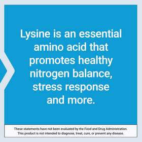 Life Extension L-Lysine, capsules sur une cuillère en bois