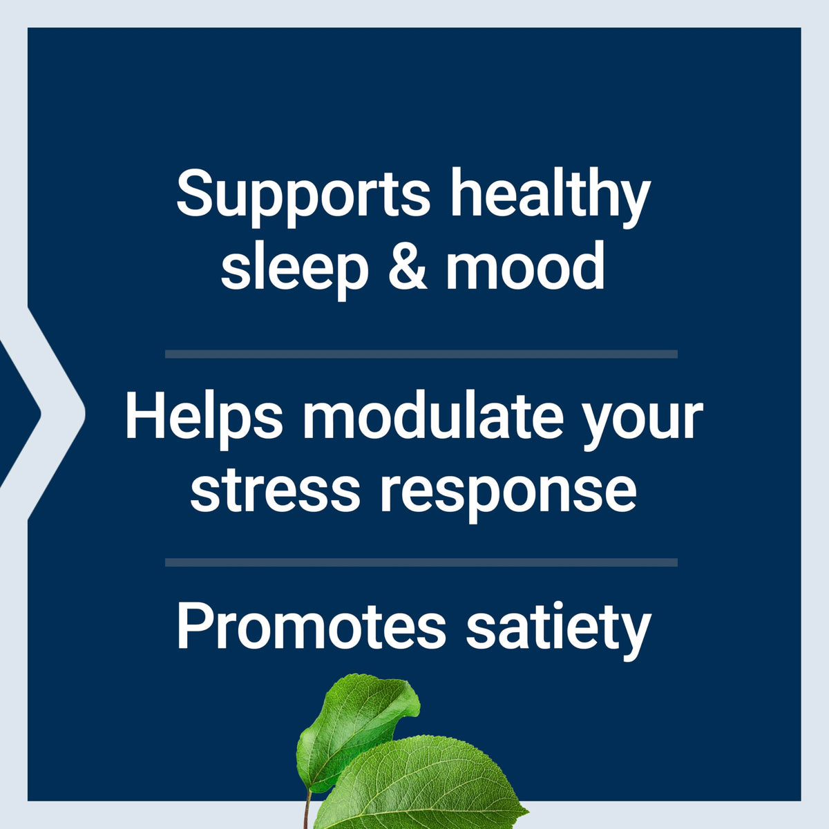 Life Extension L-Tryptophan 500 mg capsules on a table