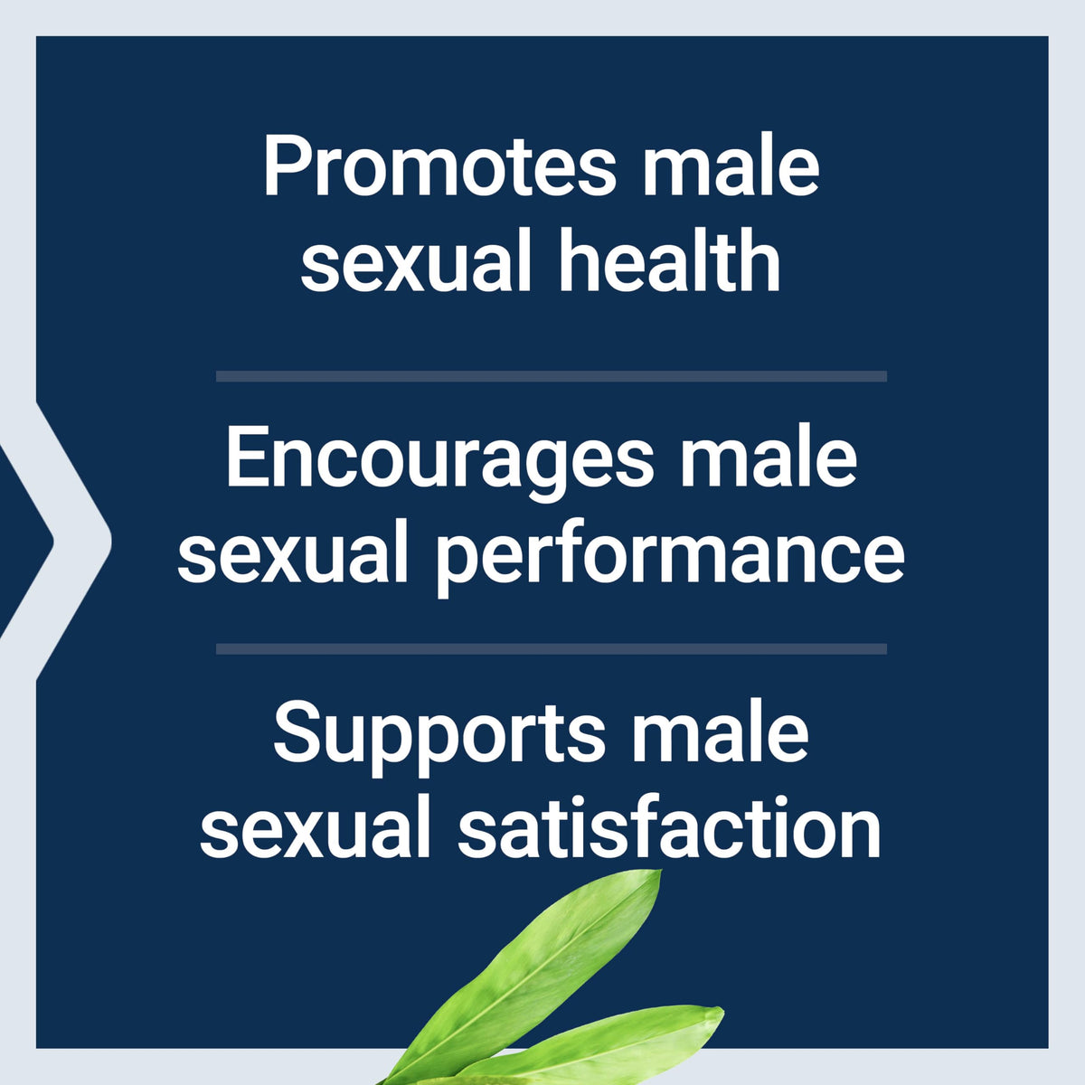 Life Extension Male Vascular Sexual Support ingredients list