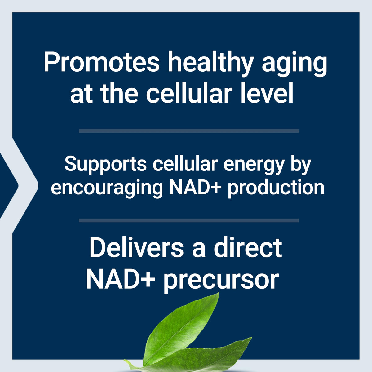 Life Extension NAD+ Cell Support NMN nutritional information