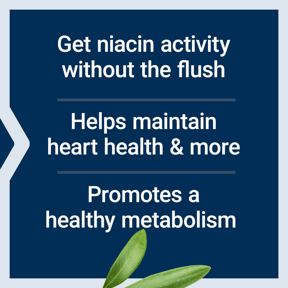 Life Extension Niacine sans Flush 640 mg capsules détails