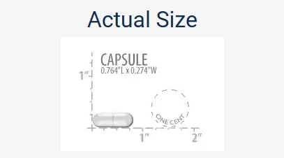 Life Extension PQQ 20 mg capsule végétarienne sur fond blanc