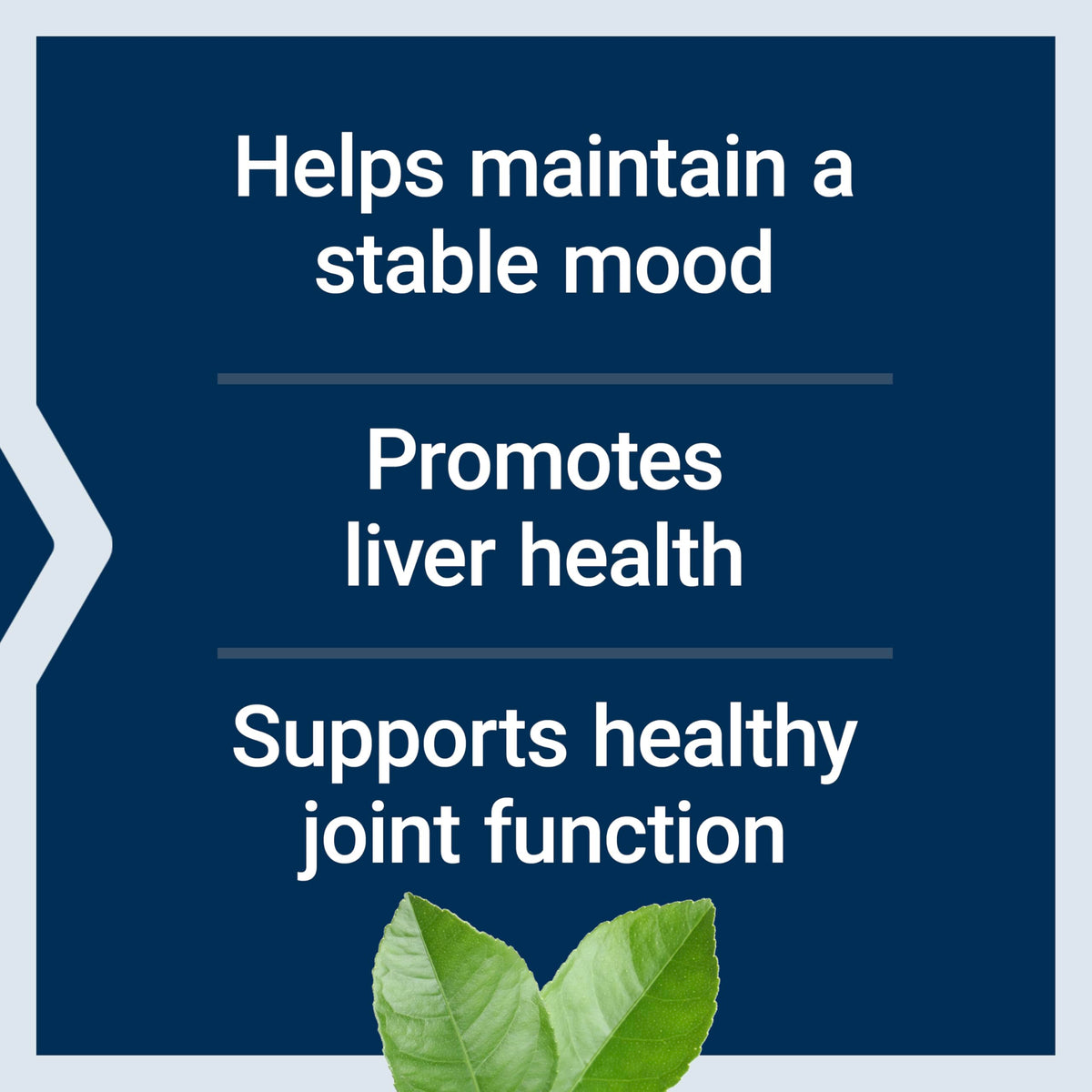 Life Extension SAMe informations nutritionnelles au dos