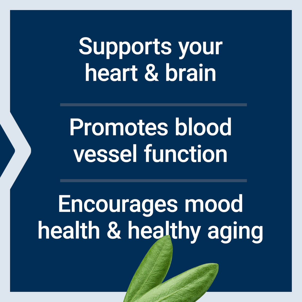 Life Extension Super Omega-3 EPA/DHA 60 gélules et description des ingrédients