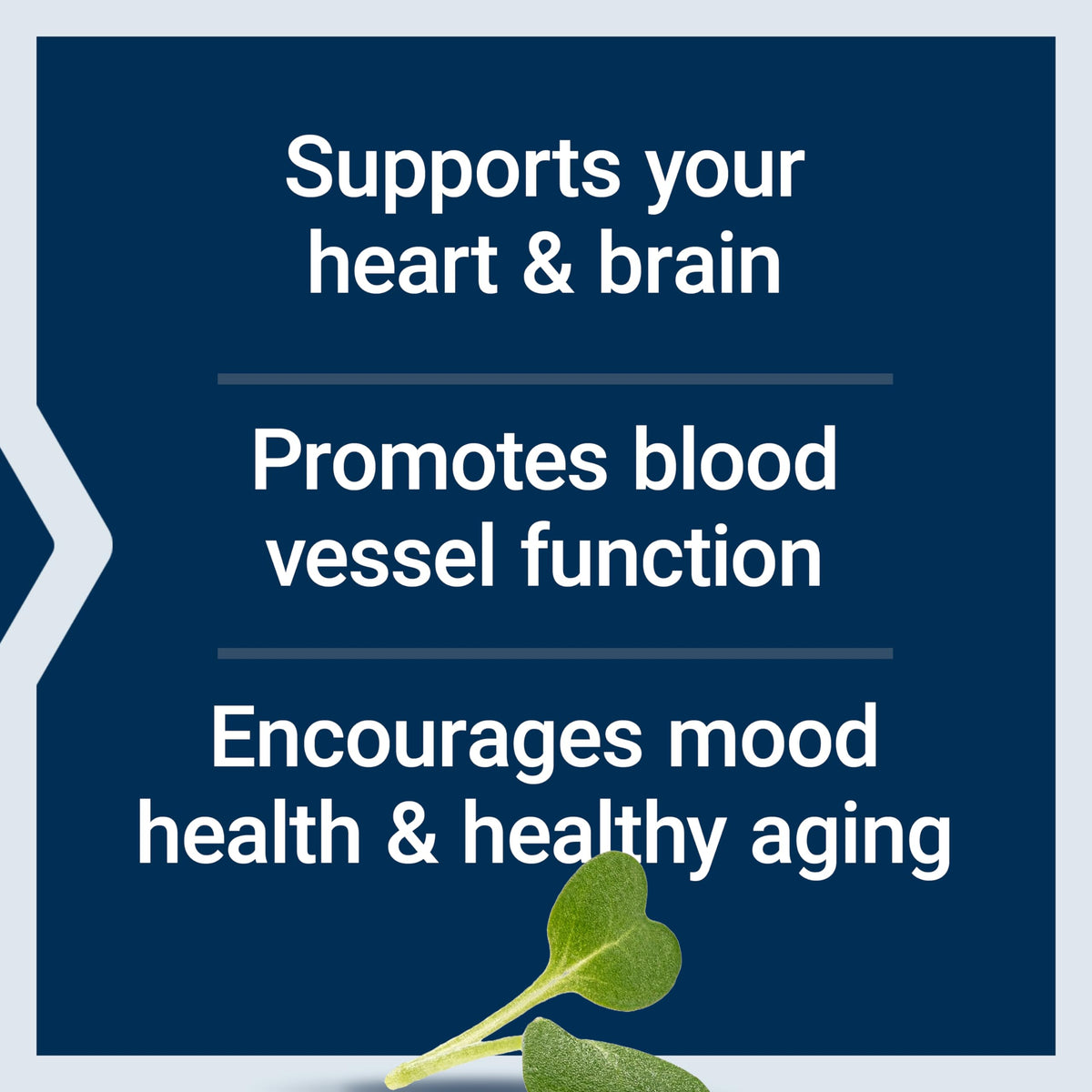 Life Extension Super Omega-3 EPA/DHA Huile de Poisson – gélule individuelle