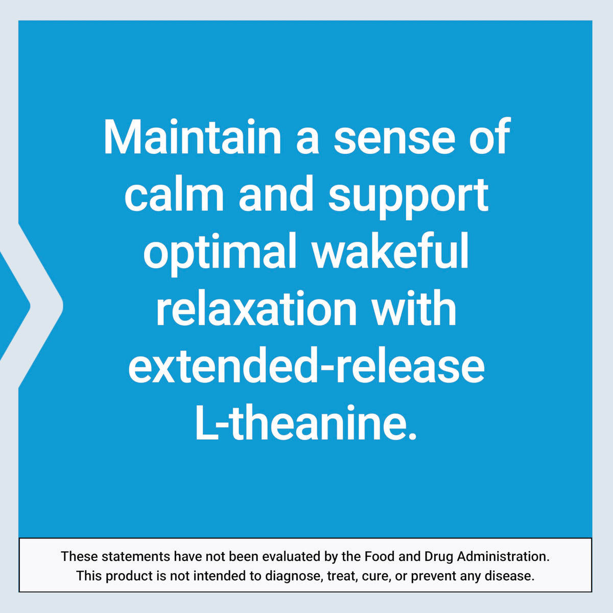 Life Extension Theanine XR™ comprimés dans une main