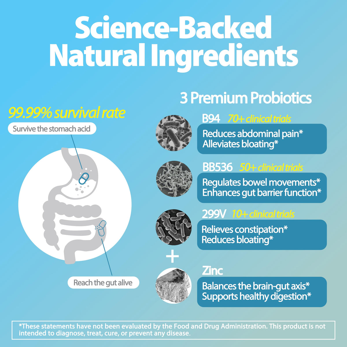 Life-Space Probiotiques Support IBS capsules dans une main