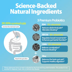 Life-Space Probiotiques Support IBS capsules dans une main