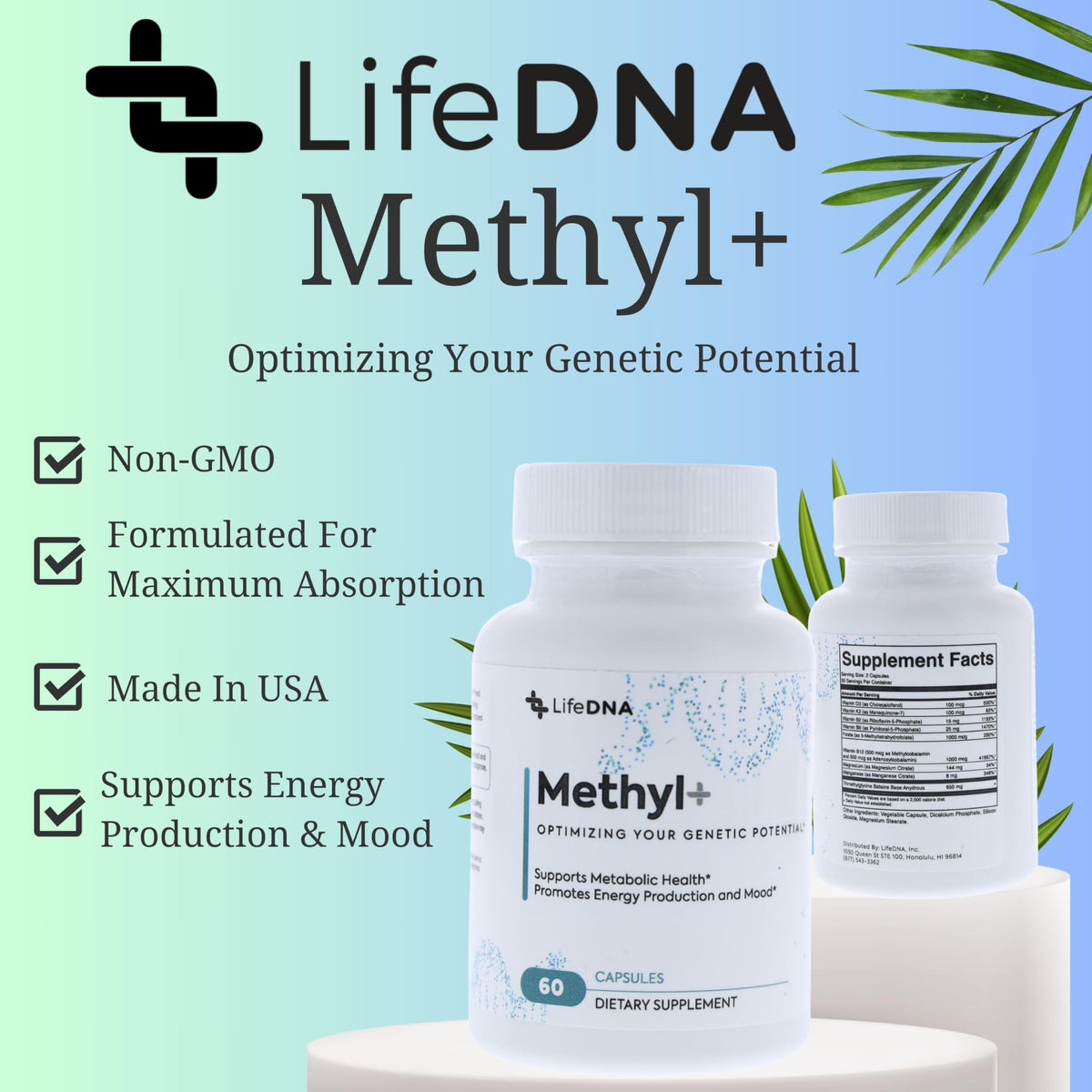 LIFEDNA Methyl + Methylfolate bouteille ouverte avec capsules
