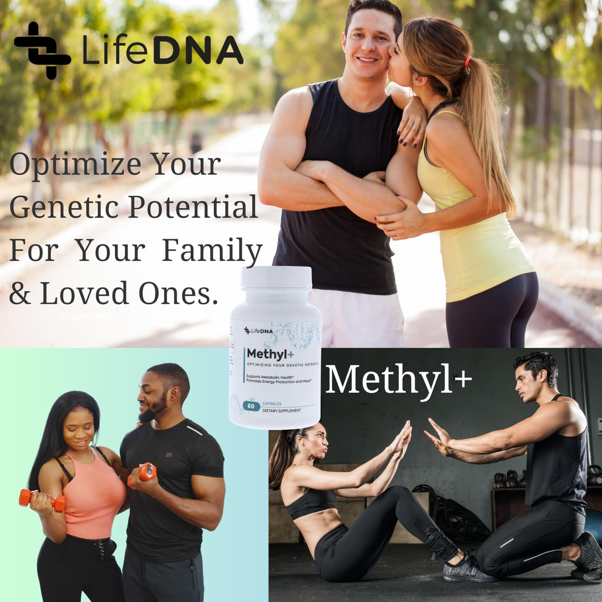 LIFEDNA Methyl + Methylfolate informations nutritionnelles